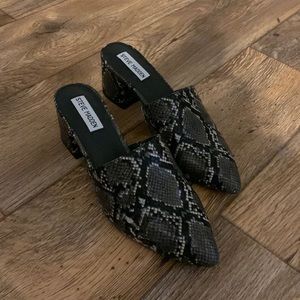 Steve Madden Snake Print Mules